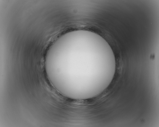 X0000110760563200906150932