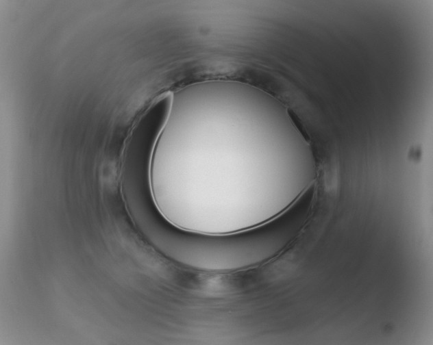 X0000110760564200906150932
