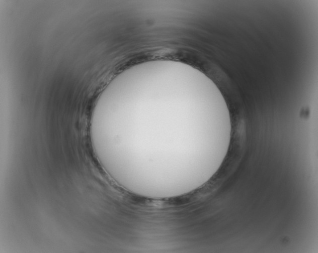 X0000110760565200906150932