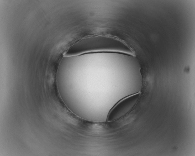 X0000110760566200906150932