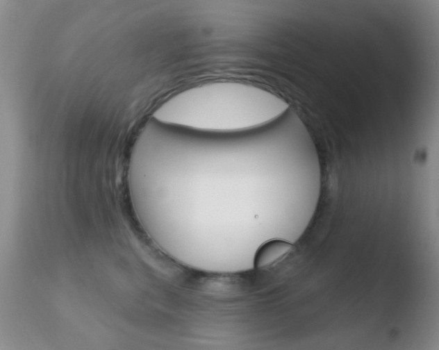 X0000110760567200906150932