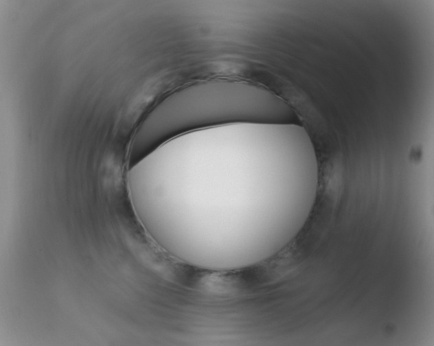 X0000110760568200906150932