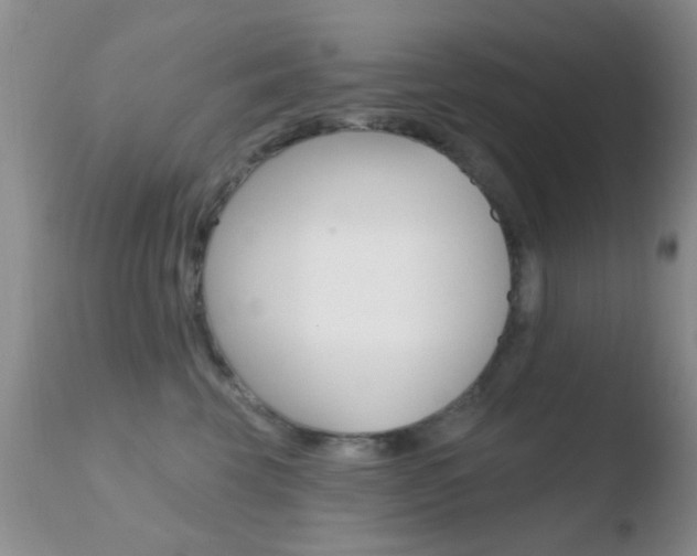 X0000110760569200906150932