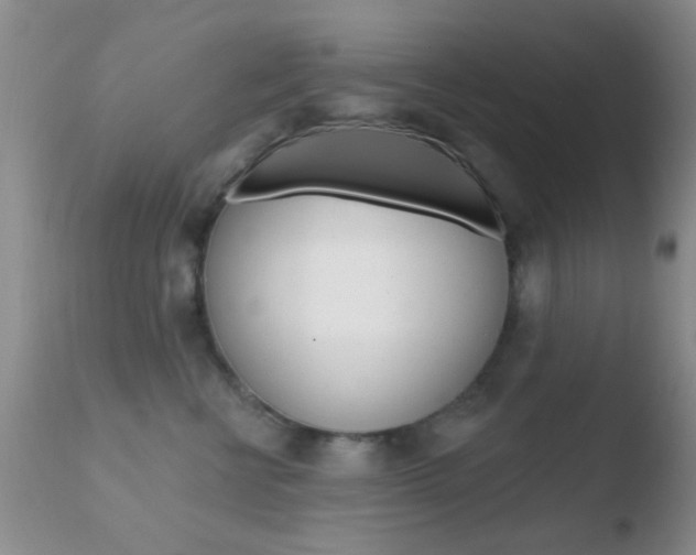 X0000110760570200906150932