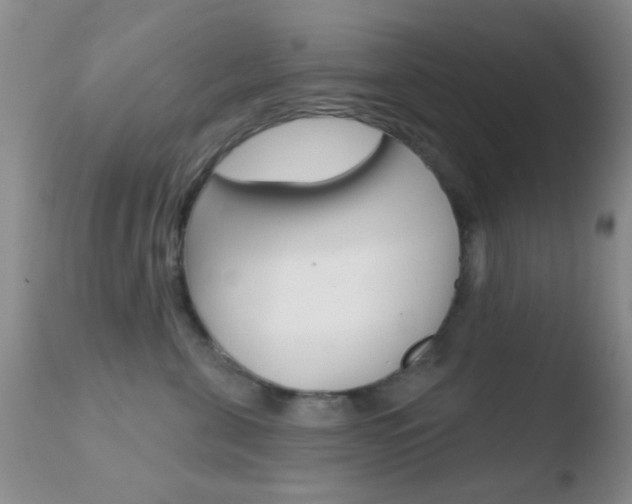 X0000110760571200906150932