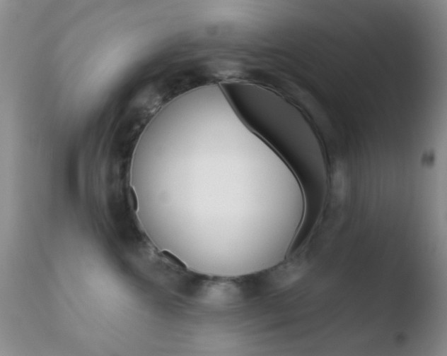 X0000110760572200906150932