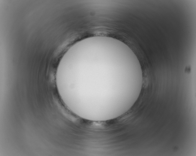 X0000110760573200906150932