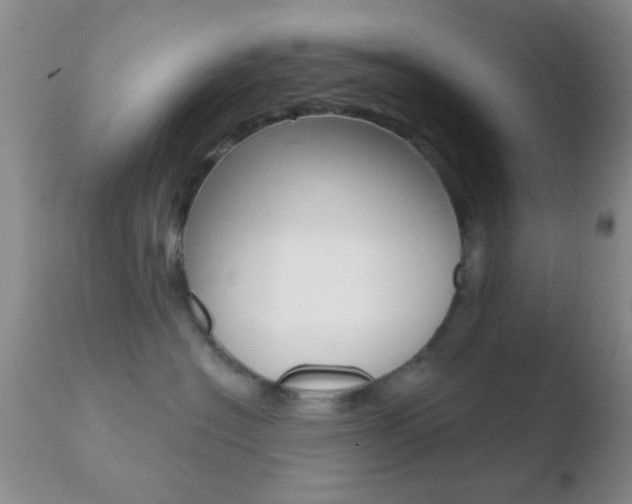 X0000110760574200906150932