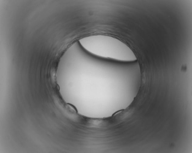X0000110760575200906150932