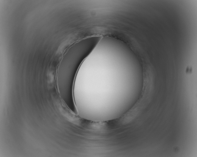 X0000110760576200906150932
