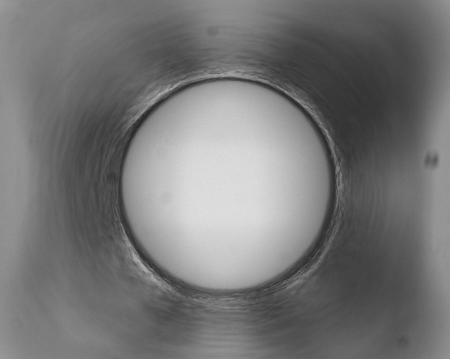 X0000110760577200906150932