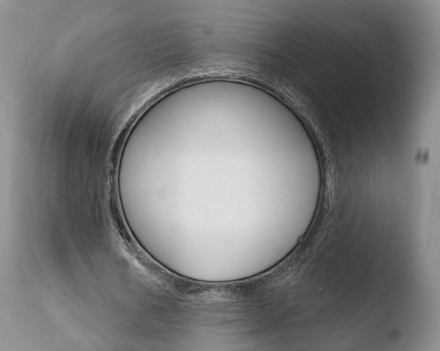 X0000110760578200906150932
