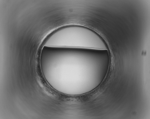 X0000110760580200906150931