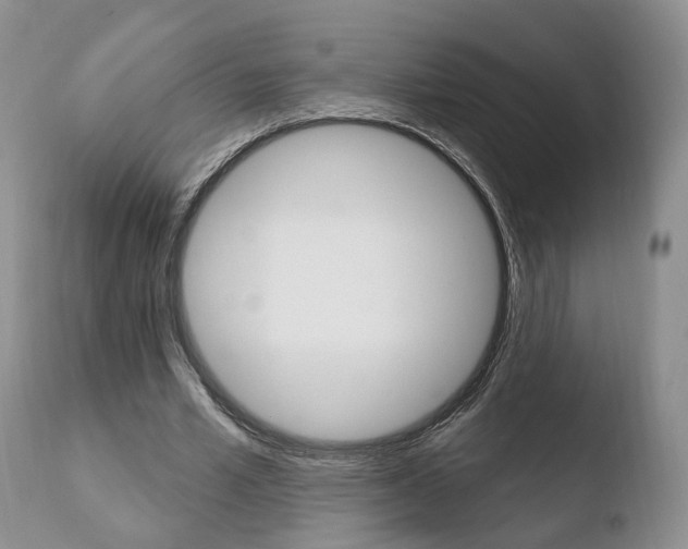 X0000110760581200906150931