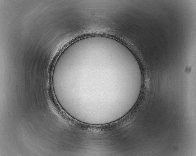 X0000110760582200906150931