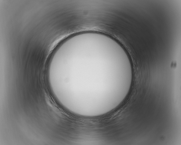 X0000110760583200906150931