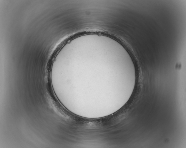 X0000110760584200906150931