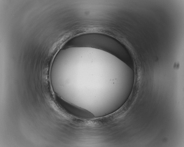 X0000110760585200906150931