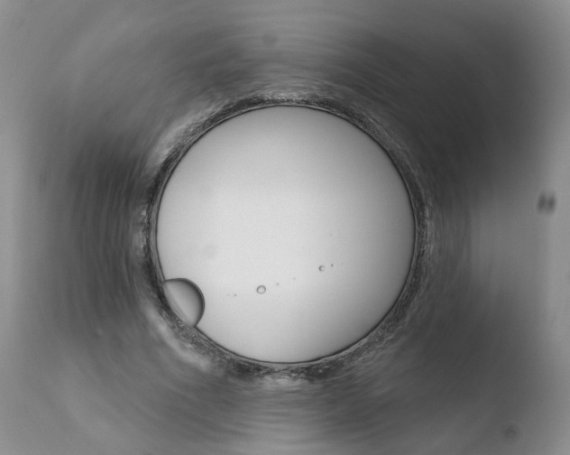 X0000110760586200906150931