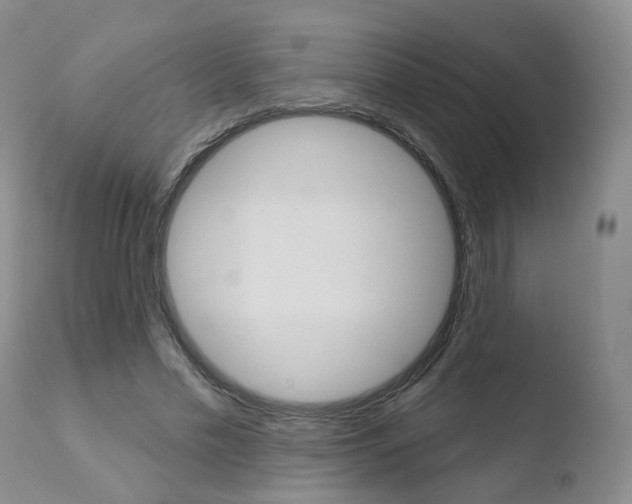 X0000110760589200906150931