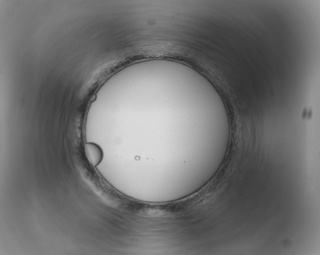 X0000110760590200906150931