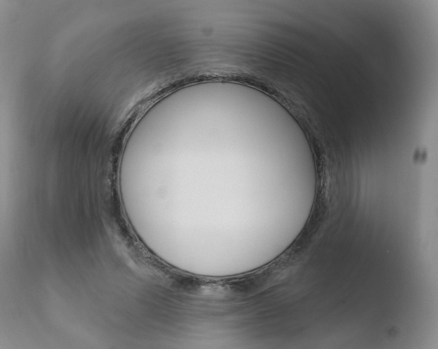 X0000110760591200906150931