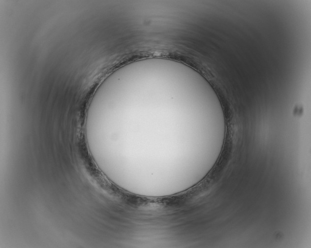 X0000110760594200906150931