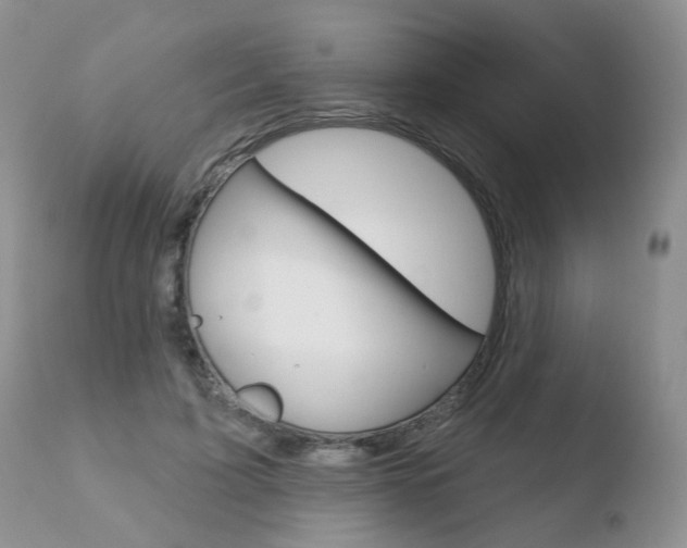 X0000110760595200906150931