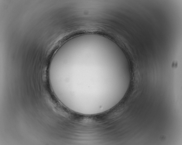 X0000110760596200906150931