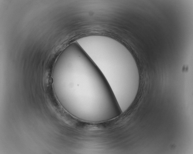 X0000110760597200906150931