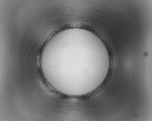 X0000110760598200906150931