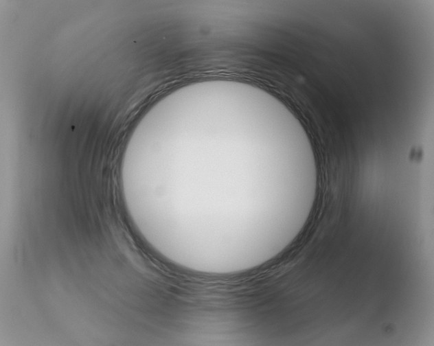 X0000110760599200906150931