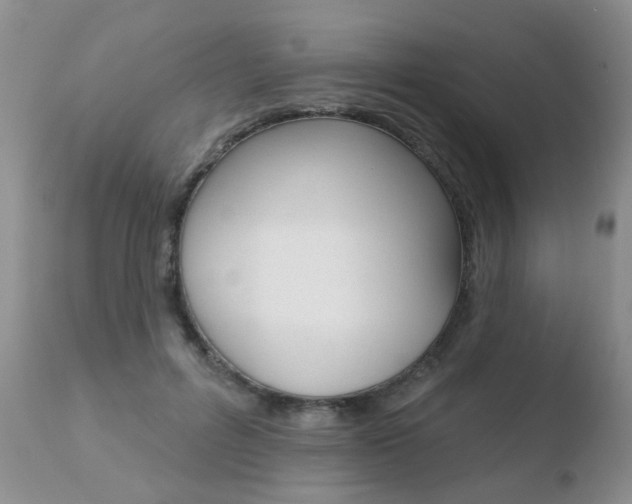X0000110760600200906150931