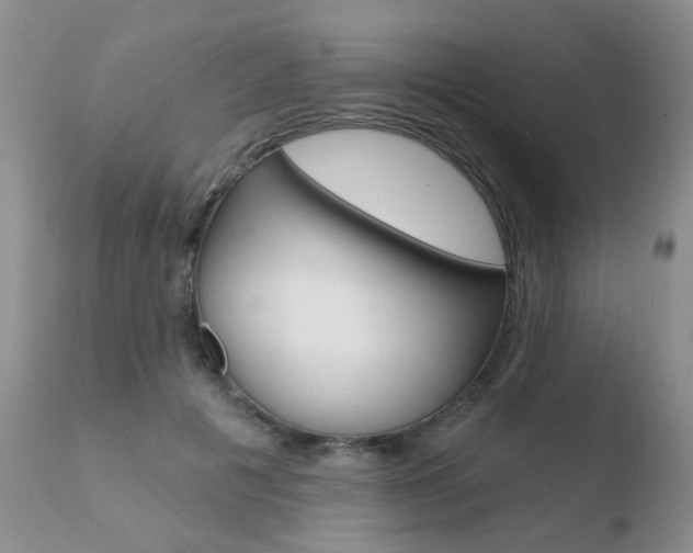 X0000110760601200906150931