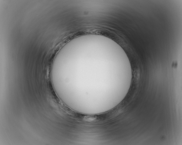 X0000110760602200906150931