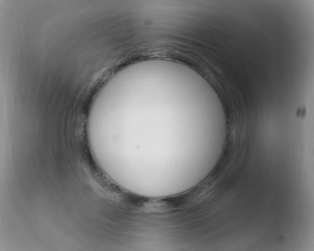 X0000110760603200906150931