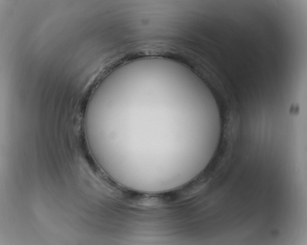 X0000110760604200906150931