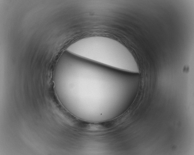 X0000110760605200906150931