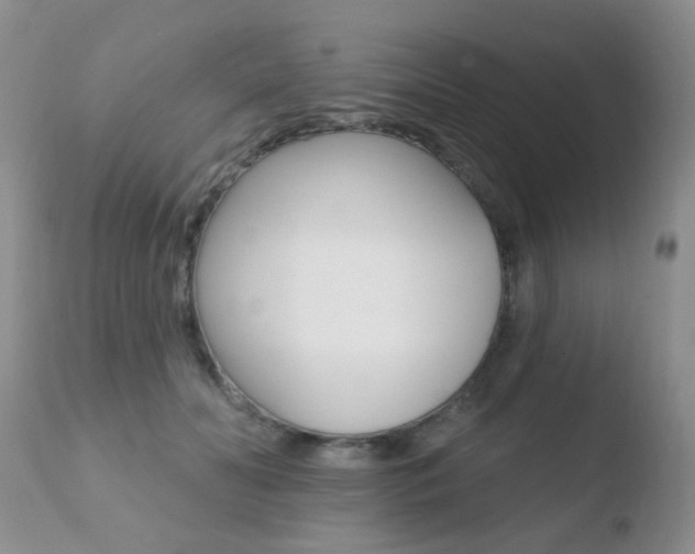 X0000110760606200906150931