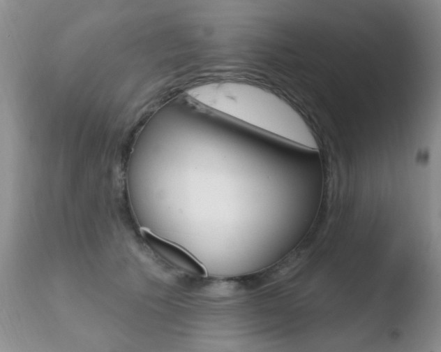X0000110760609200906150931