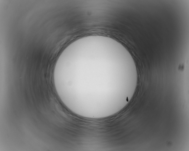 X0000110760611200906150931