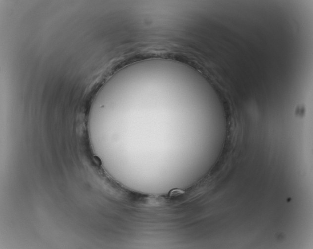 X0000110760612200906150931