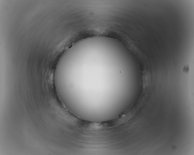 X0000110760613200906150931