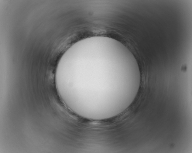 X0000110760614200906150931