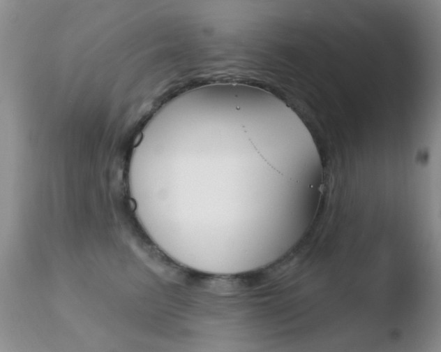 X0000110760615200906150931