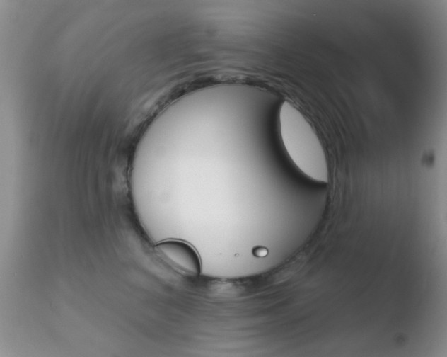 X0000110760616200906150931