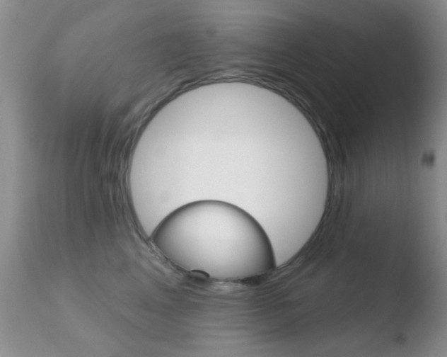X0000110760617200906150931