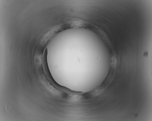 X0000110760621200906150931