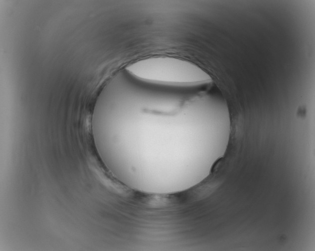 X0000110760623200906150931