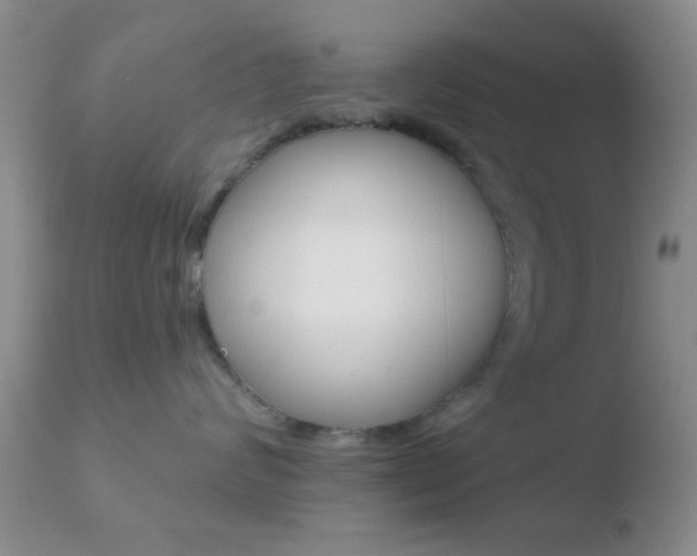 X0000110760624200906150931